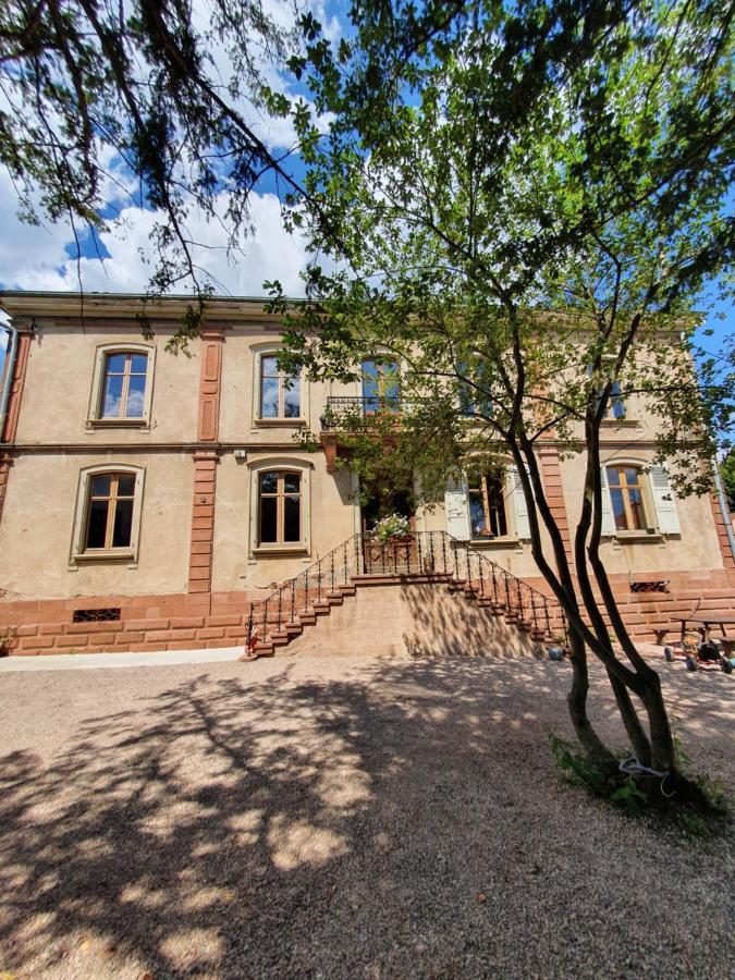 Sojolidays - Appartements D'Hotes Sur La Route Des Vins D'Alsace Rorschwihr Exteriér fotografie